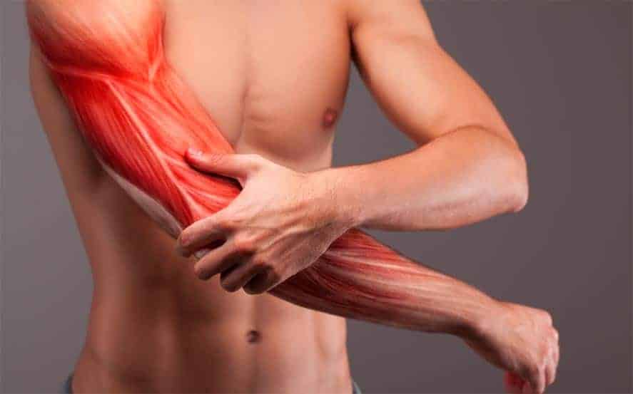 Can CBD Help with Muscle Recovery?