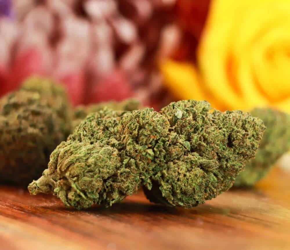 Suver Haze Delta 8 THC Flower