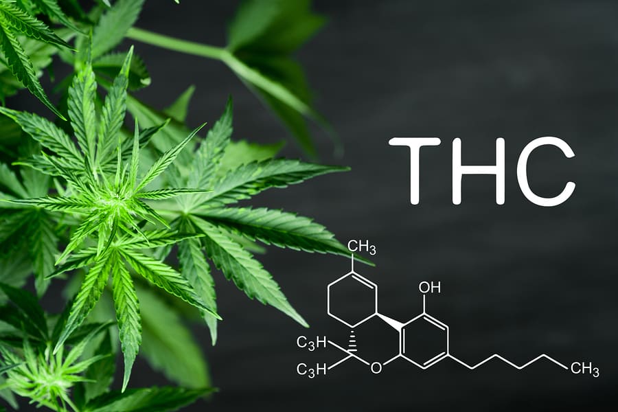 Delta 8 THC