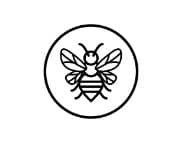 Honeyroot Wellness